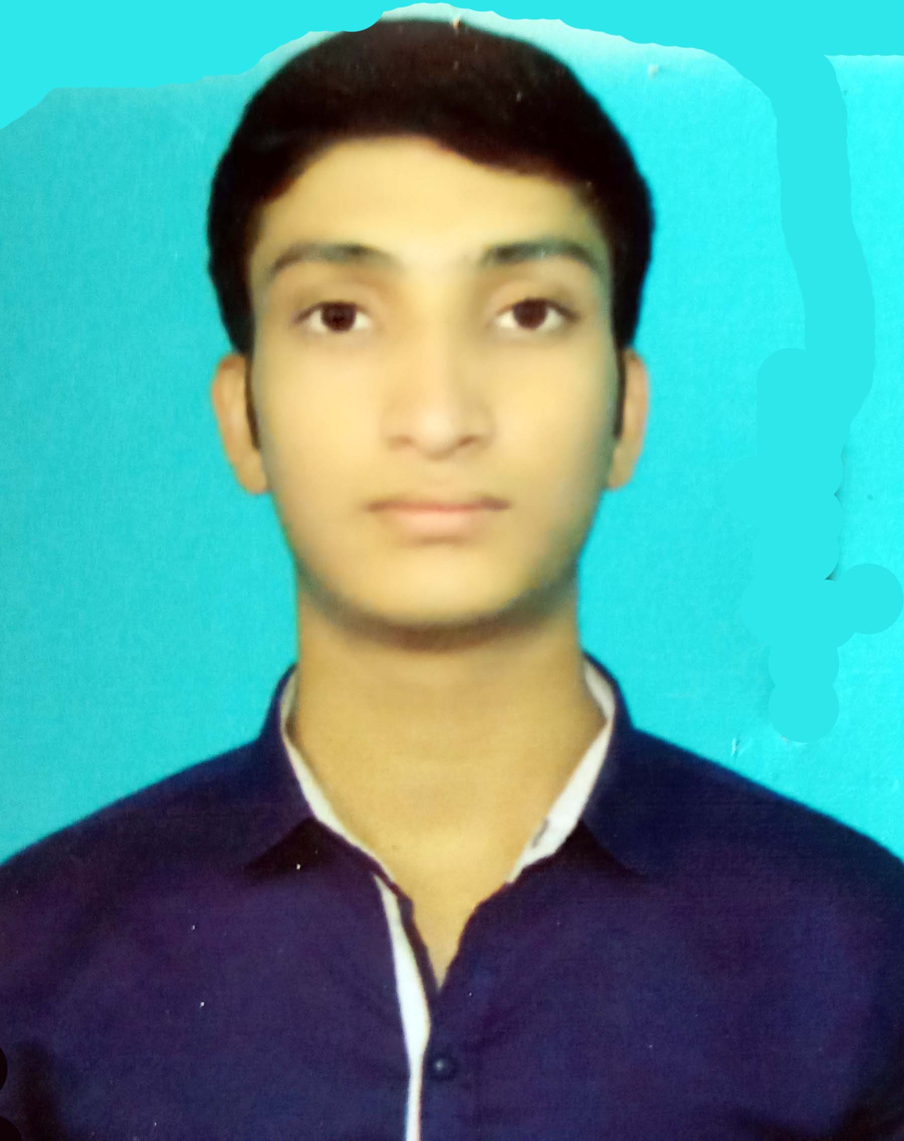 Alumni Profile