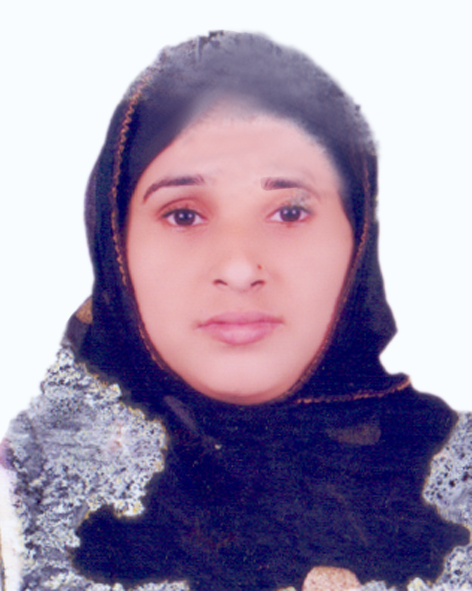Alumni Profile