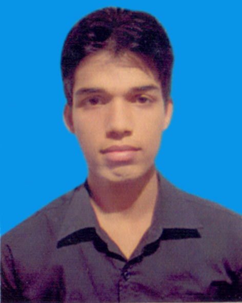 Alumni Profile